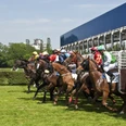 Galopprennbahn Raffelberg Pferderennenstart mit Jockeys in farbenfroher Rennkleidung auf grünem Gras bei sonnigem Wetter.