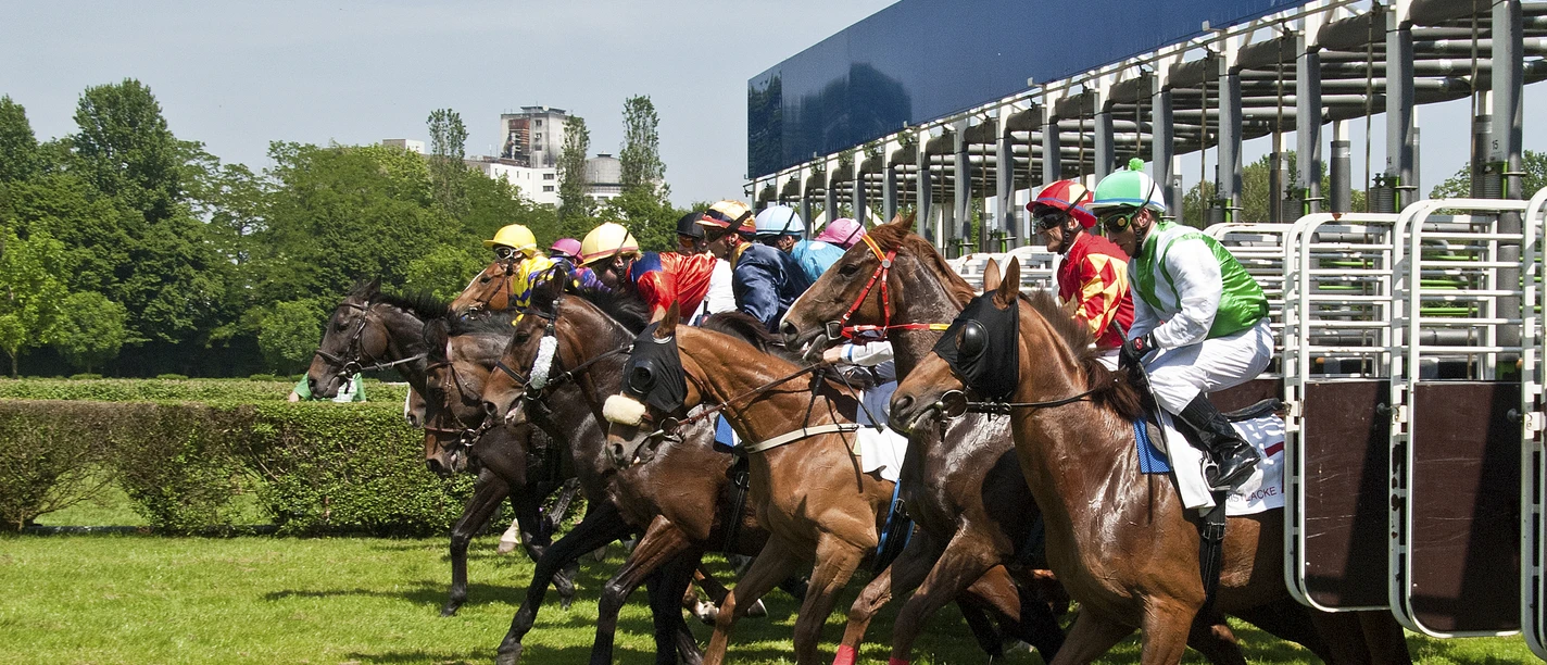 Galopprennbahn Raffelberg Pferderennenstart mit Jockeys in farbenfroher Rennkleidung auf grünem Gras bei sonnigem Wetter.
