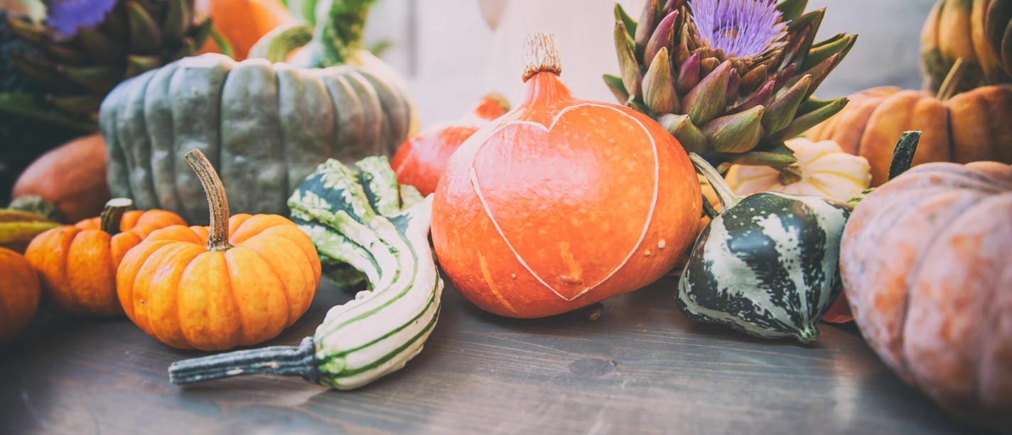 apfelfest_markdorf_09-2016-27