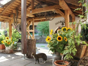 Landgasthof Untere Mühle