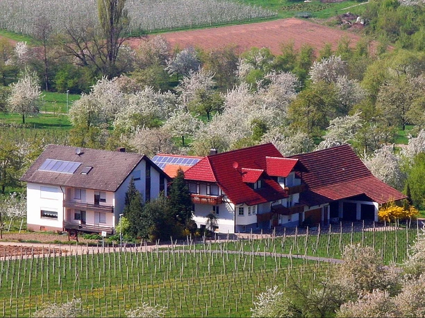 Winzerhof Ingrid und Winfried Laible