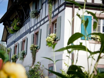 seitliche Hausansicht