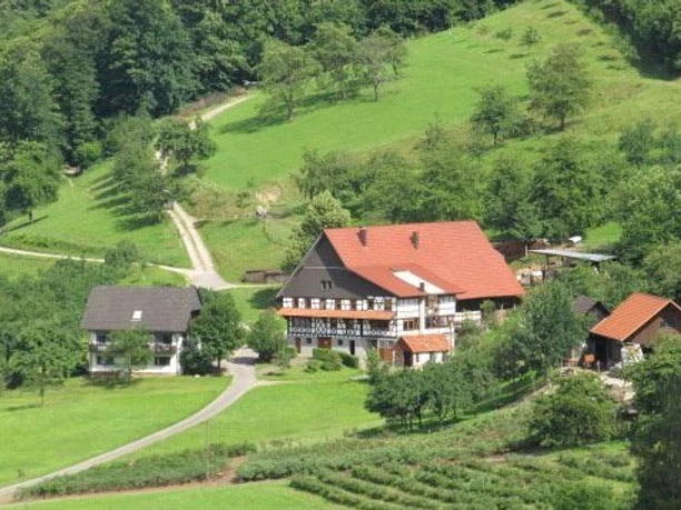 Blick auf den Blustenhof