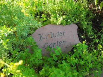 Zwischen Kräutern ein Schild mit der Aufschrift Kräutergarten