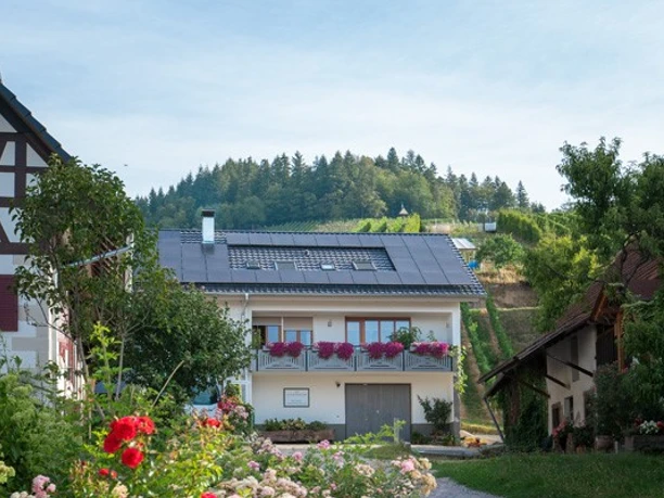 Dreistöckiges weißes Haus mit grauem Dach, Balkon mit Blumen. Davor ein Hof mit Sträuchern