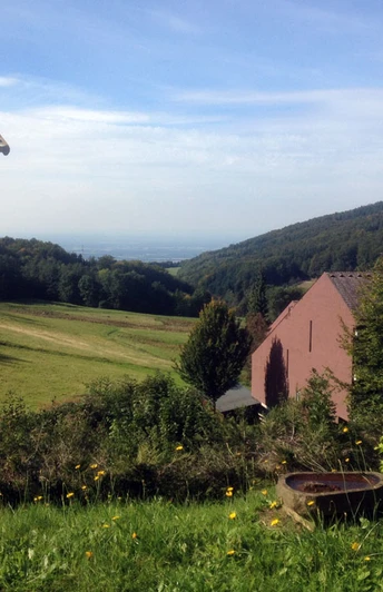 Ausblick von der Terasse im Sommer