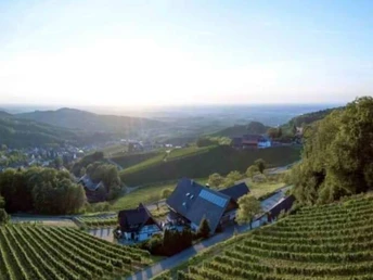 Ansicht von Hinten mit Blick in die Rheinebene