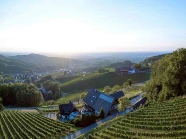 Ansicht von Hinten mit Blick in die Rheinebene