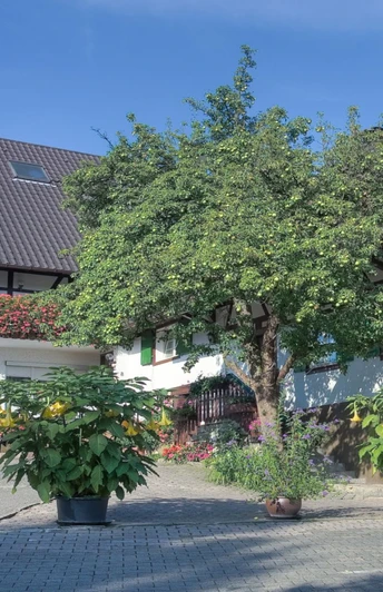 Haus Winzerhof Außenansicht