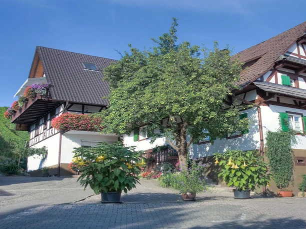 Haus Winzerhof Außenansicht