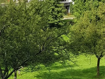 Hausansicht von fern