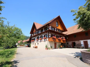 Kasimir Hof