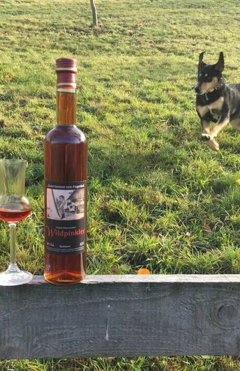 Wildpinkler vom Fiegenhof im Schwarzwald