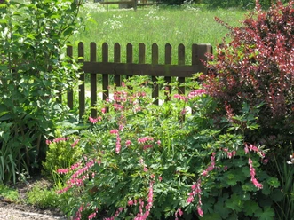 Detail im Venner Bauerngarten