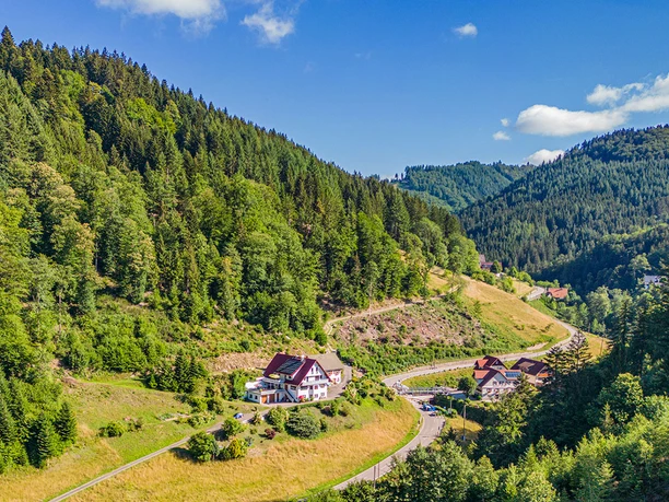 Blick ins Lierbachtal