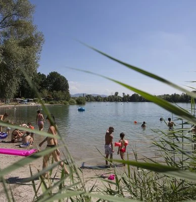 Badestrand mit Kindern und Erwachsenen, umrahmt von Bäumen und Schilf, Badesee mit Schwimmern