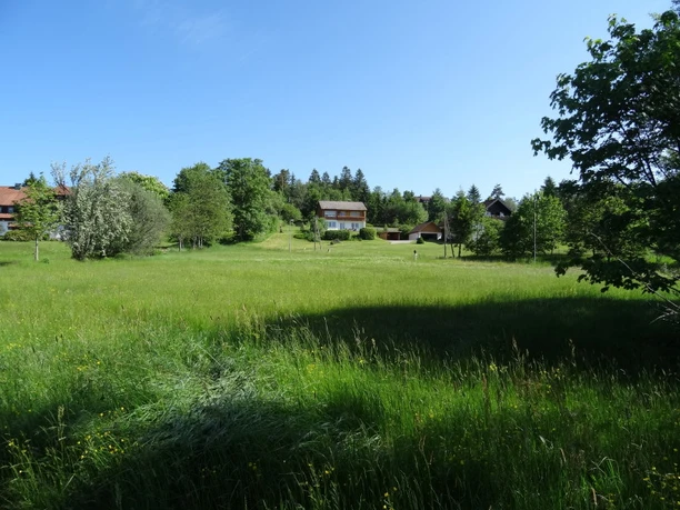 Umgebung