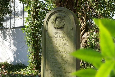 Jüdischer Friedhof Alte hebräische Grabstele auf jüdischem Friedhof, umgeben von Efeu und sanftem Sonnenlicht