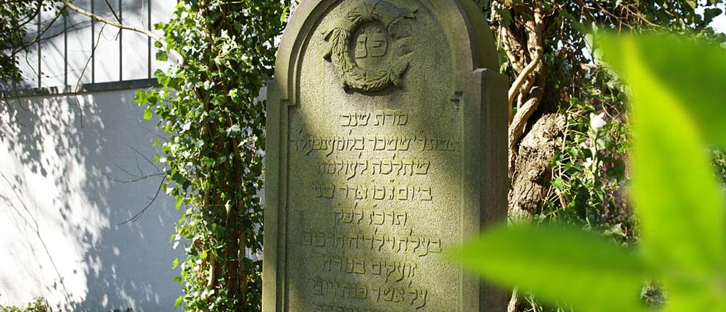 Jüdischer Friedhof Alte hebräische Grabstele auf jüdischem Friedhof, umgeben von Efeu und sanftem Sonnenlicht