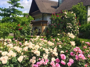 Winzerhof Männle, Oberkirch