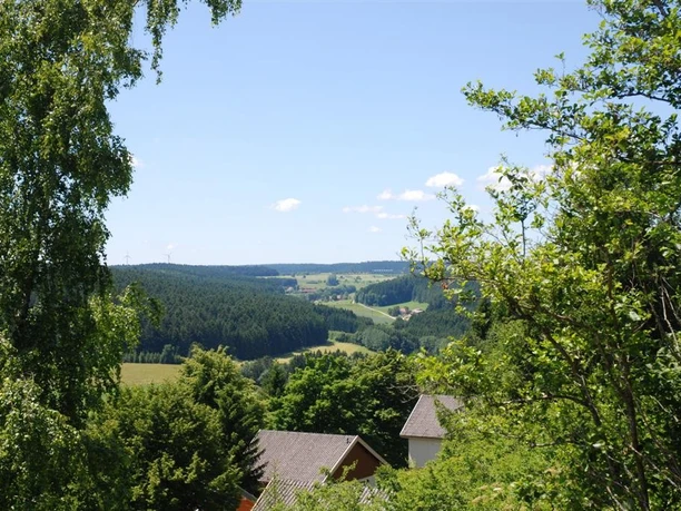 Sonnenrain 15 Walliser
