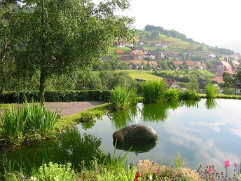 Blick über unseren Gartenteich ins Dorf