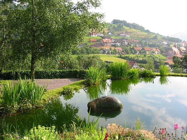 Blick über unseren Gartenteich ins Dorf