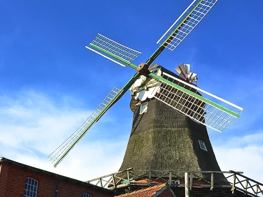 Mühlenmuseum Pewsum Historische Windmühle mit Reetdach hinter roten Backsteingebäuden vor blauem Himmel.