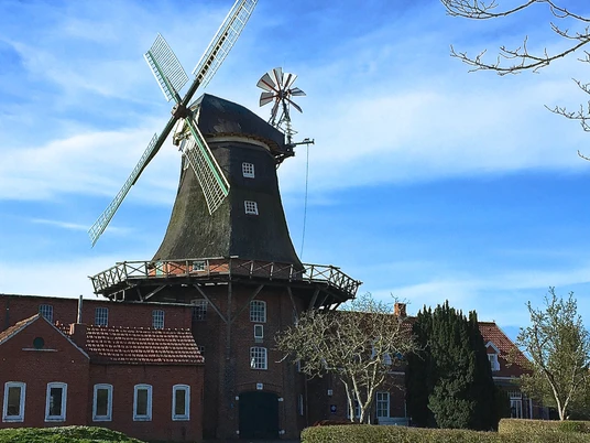 Mühlenmuseum Pewsum Historische Windmühle mit Backsteingebäuden und grüner Wiese vor blauem Himmel.