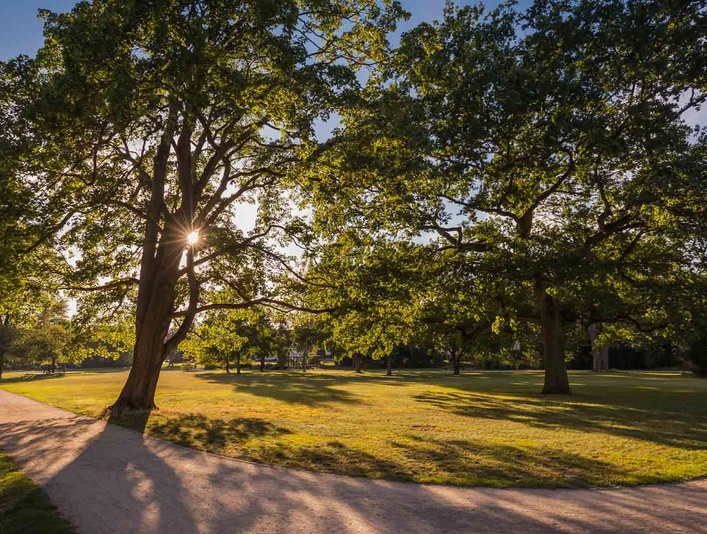 Triftanlage in Celle Triftanlage in Celle