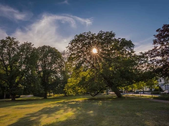 Triftanlage in Celle Triftanlage in Celle