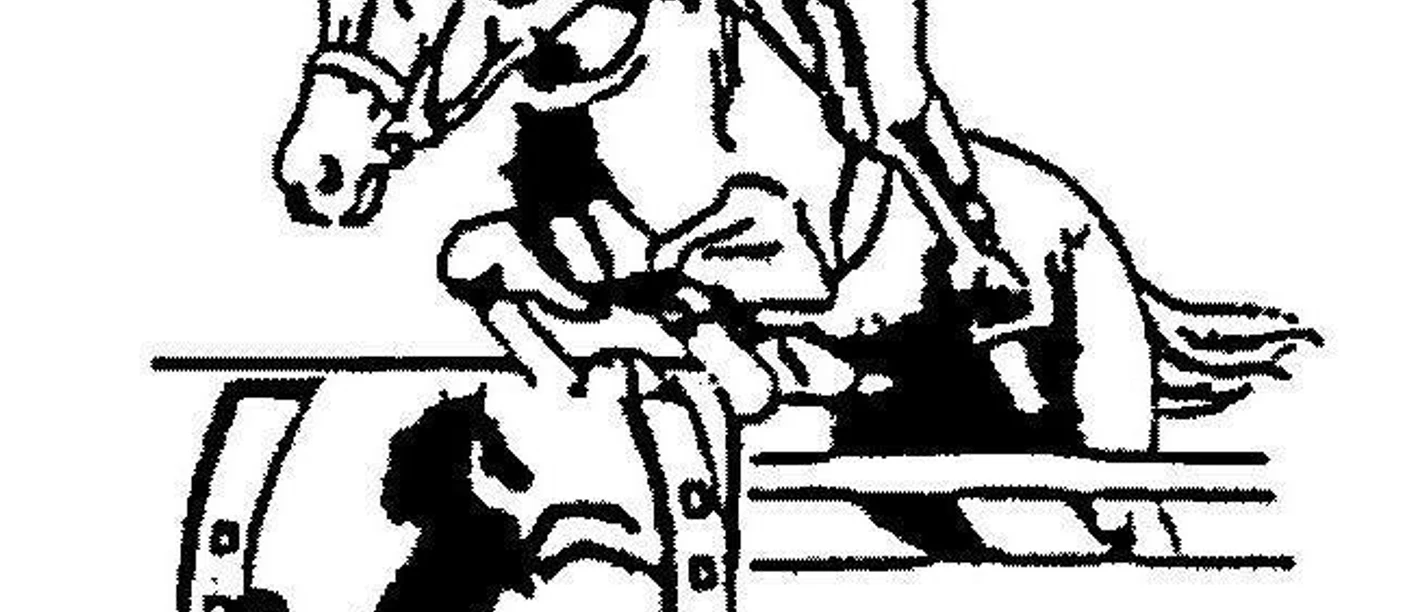 Reit- und Fahrverein Loffenau e.V.