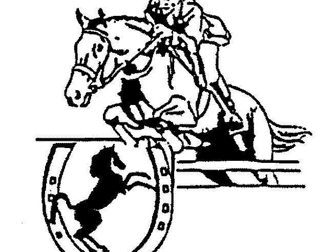 Reit- und Fahrverein Loffenau e.V.