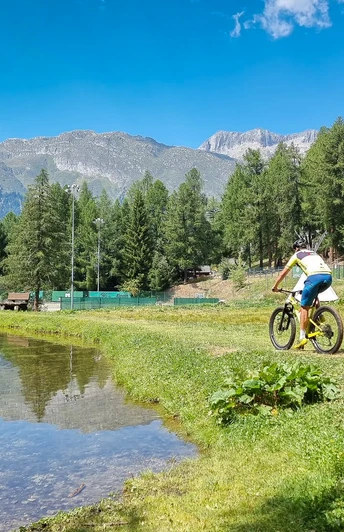 Biotop bei den Sport- und Freizeitanlagen