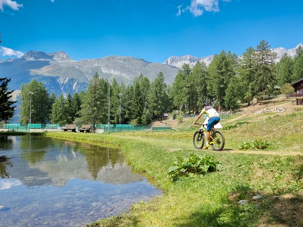 Biotop bei den Sport- und Freizeitanlagen