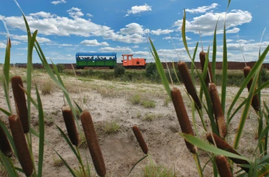 Moorbahn "Seelter Foonkieker" in Ramsloh Grüne Moorbahn mit orangefarbener Lok fährt durch Sand- und Schilflandschaft unter blauem Himmel.