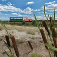 Moorbahn "Seelter Foonkieker" in Ramsloh Grüne Moorbahn mit orangefarbener Lok fährt durch Sand- und Schilflandschaft unter blauem Himmel.