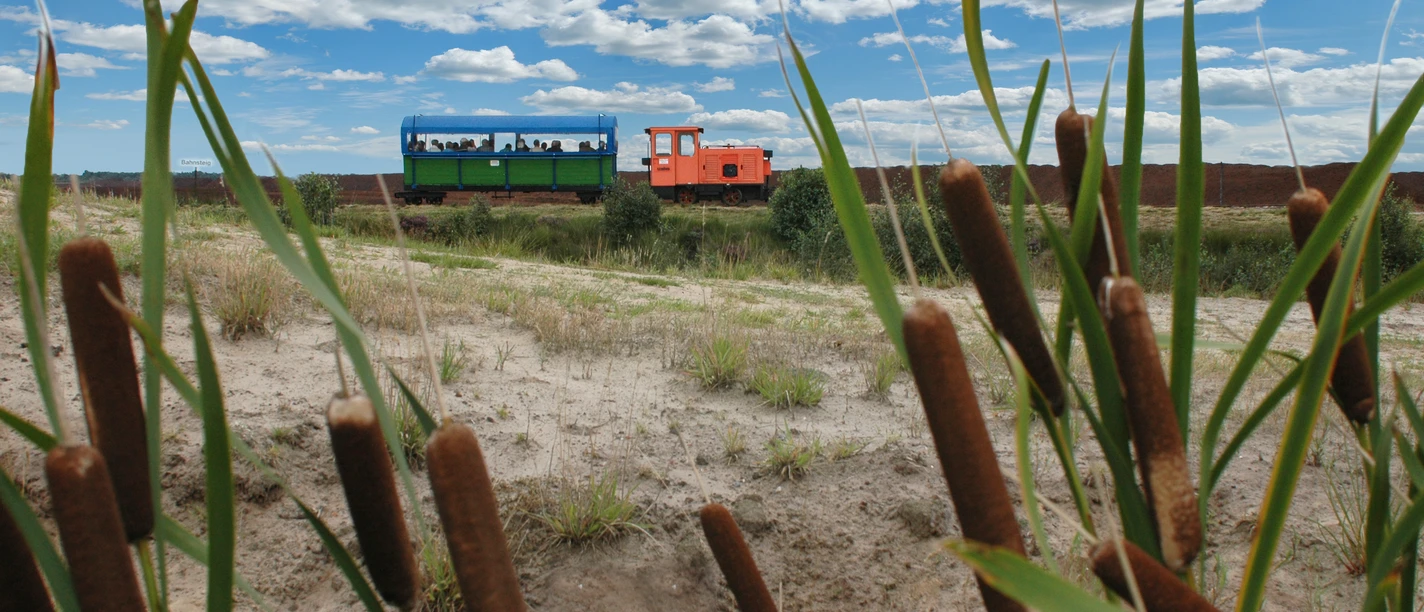 Moorbahn "Seelter Foonkieker" in Ramsloh Grüne Moorbahn mit orangefarbener Lok fährt durch Sand- und Schilflandschaft unter blauem Himmel.