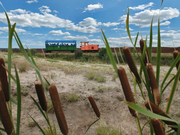 Moorbahn "Seelter Foonkieker" in Ramsloh Grüne Moorbahn mit orangefarbener Lok fährt durch Sand- und Schilflandschaft unter blauem Himmel.