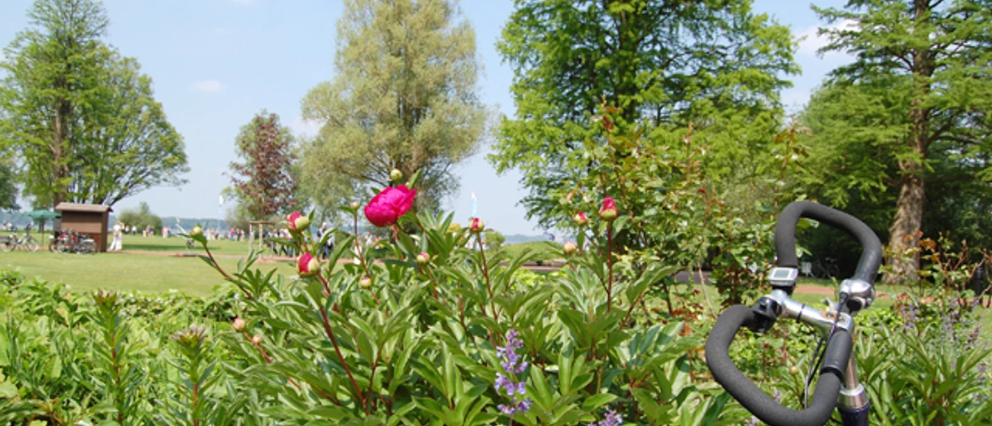 Bad_Zwischenahn_Park_Fahrradlenker_Artikelbild_640x400.jpg