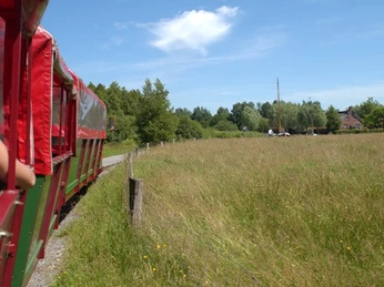 Torfbahn Blick aus der Torfbahn mit Blick auf eine Wiese