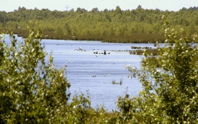 Neudorfer_Moor_uplengen_640_400.jpg