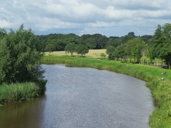 Ausblick von der Mühle Ein ruhiger Fluss schlängelt sich durch eine grüne Landschaft mit Wiesen und Bäumen unter einem bewölkten Himmel.