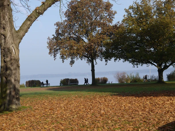 herbst-kurpark-meer herbst-kurpark-meer