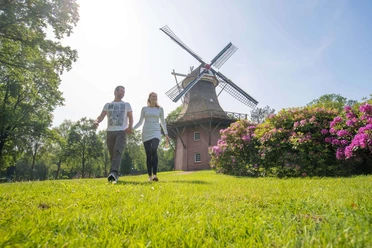 muehle-im-kurpark Ein Paar spaziert auf einer Wiese vor der großen Windmühle im Kurpark von Bad Zwischenahn.