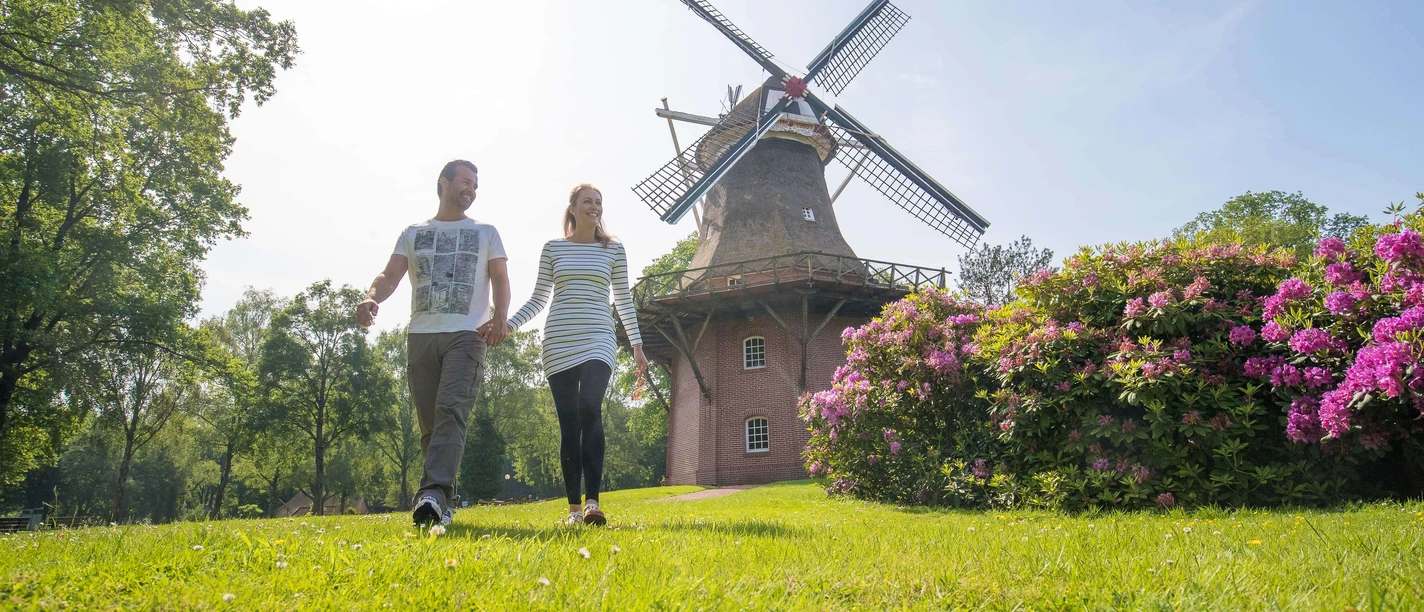 muehle-im-kurpark Ein Paar spaziert auf einer Wiese vor der großen Windmühle im Kurpark von Bad Zwischenahn.