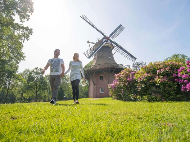 muehle-im-kurpark Ein Paar spaziert auf einer Wiese vor der großen Windmühle im Kurpark von Bad Zwischenahn.