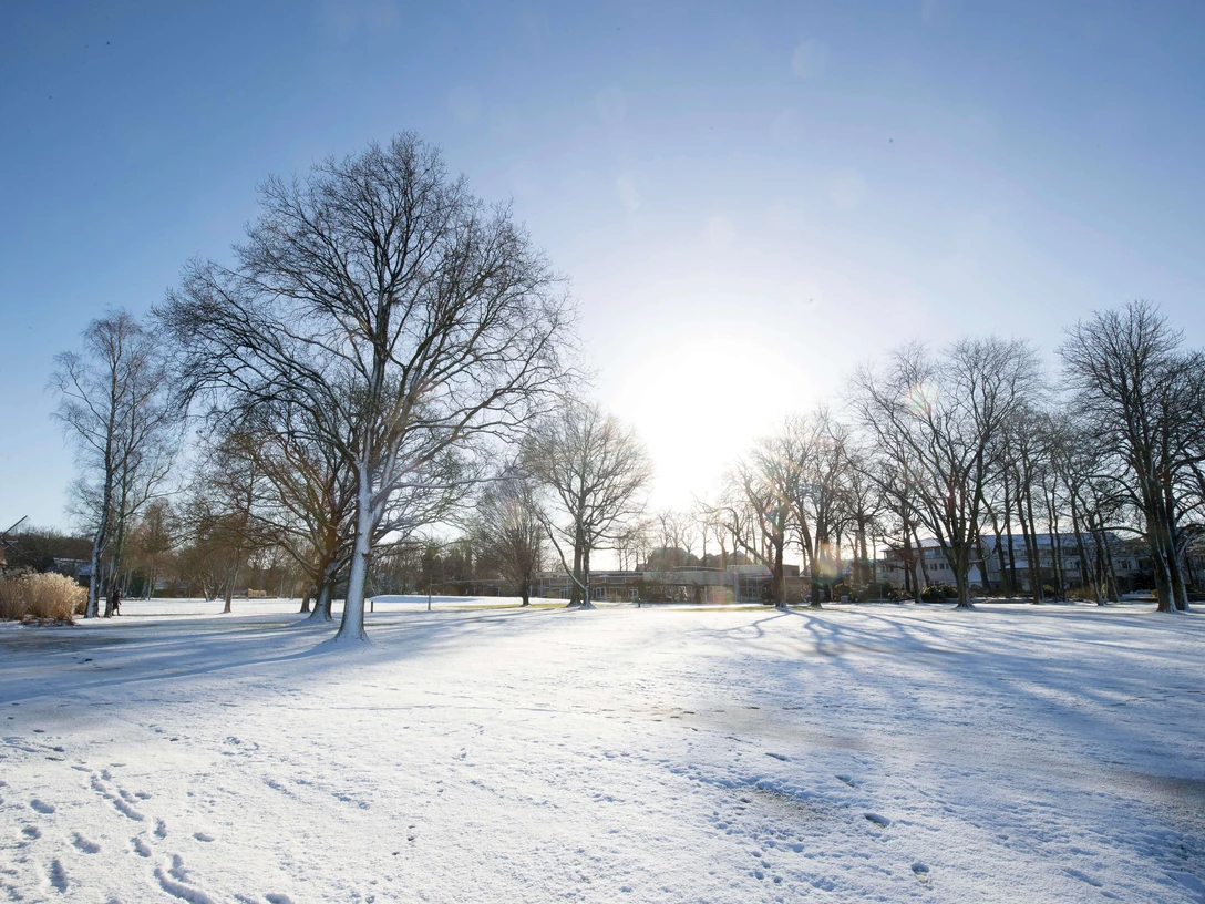 schnee-kurpark Verschneiter Kurpark mit kahlen Bäumen im Sonnenlicht, lange Schatten auf hellem Schnee.Snow-covered spa gardens with bare trees in the sunlight, long shadows on light snow.Snedækkede spa-haver med nøgne træer i sollyset, lange skygger på lys sne.Besneeuwde spa-tuinen met kale bomen in het zonlicht, lange schaduwen op lichtgekleurde sneeuw.