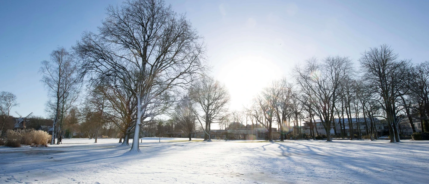 schnee-kurpark Snow-covered spa gardens with bare trees in the sunlight, long shadows on light snow.