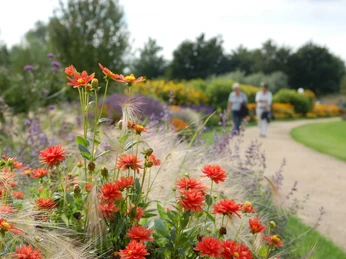 staudenvielfalt-bunt